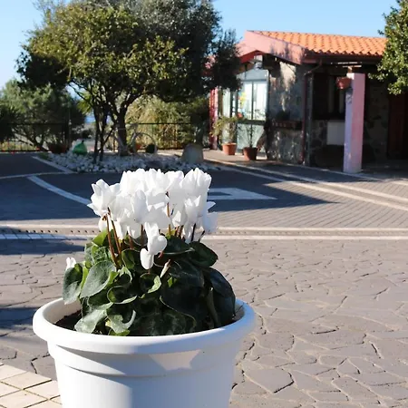 La Rosa Dei Venti