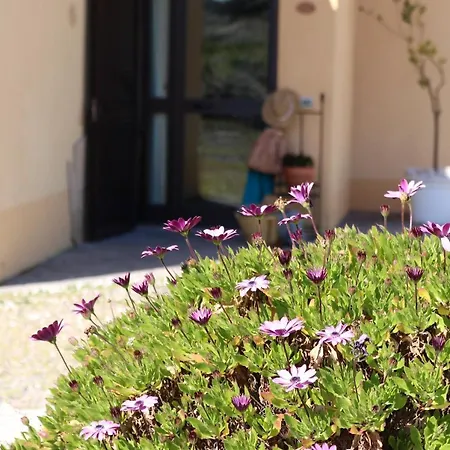 La Rosa Dei Venti * Sennariolo