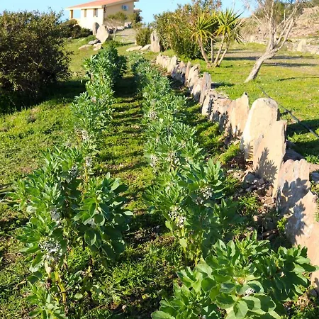 Üdülőpark La Rosa Dei Venti *