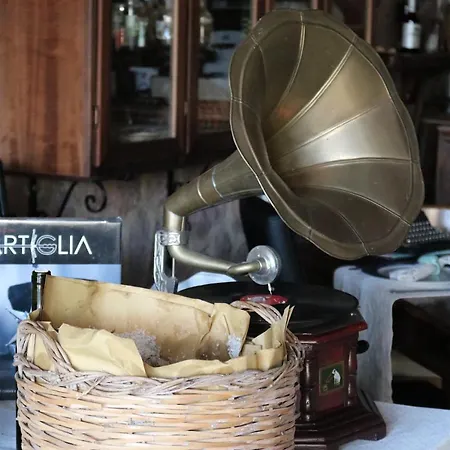 Üdülőpark La Rosa Dei Venti