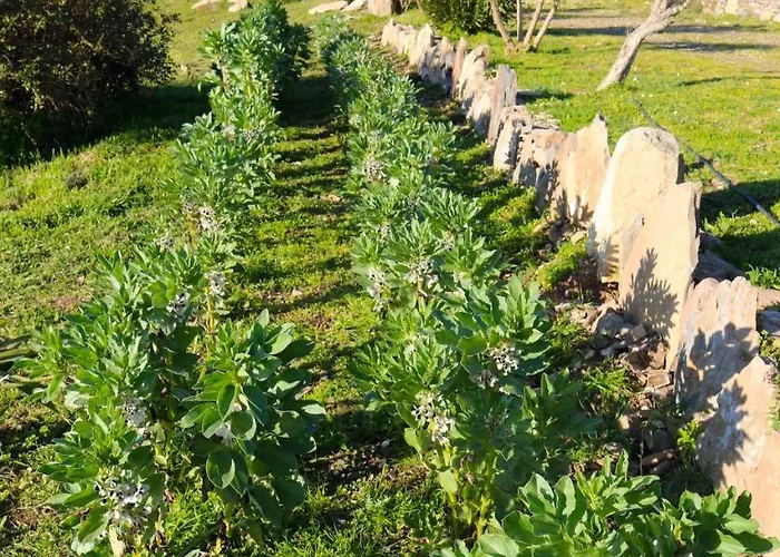 Aldeamento Turístico La Rosa Dei Venti *
